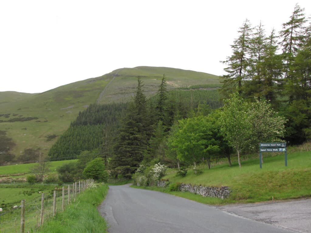 whinlatter forest
